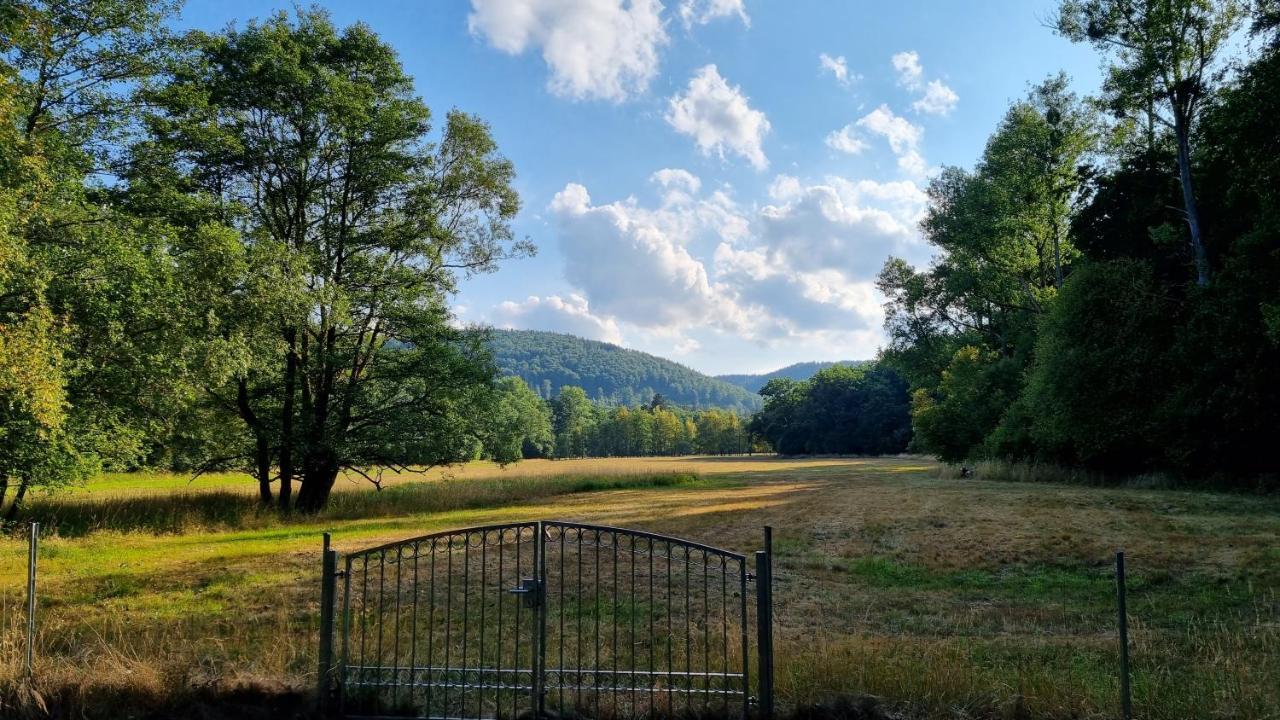 Ferienhaus Rehblick - Direkt In Der Natur, Mit Lesezimmer Und Zwei Terrassen Friedrichroda Exterior photo